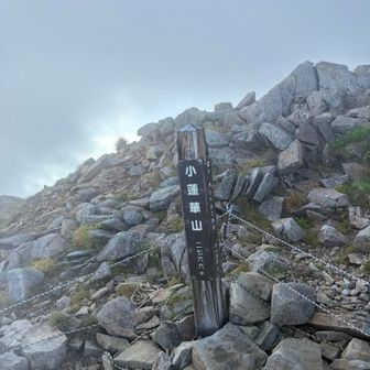 小蓮華岳は新潟県の最高峰2766m。たくさんの人、います。この後のピーク、船越の頭もしっかり踏みました。