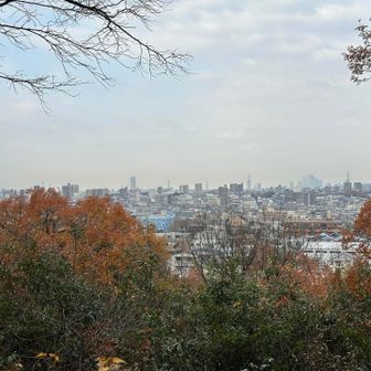 頂上からの名古屋方面展望、伊吹山は見えず、