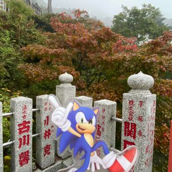紅葉してるところがあった🍁