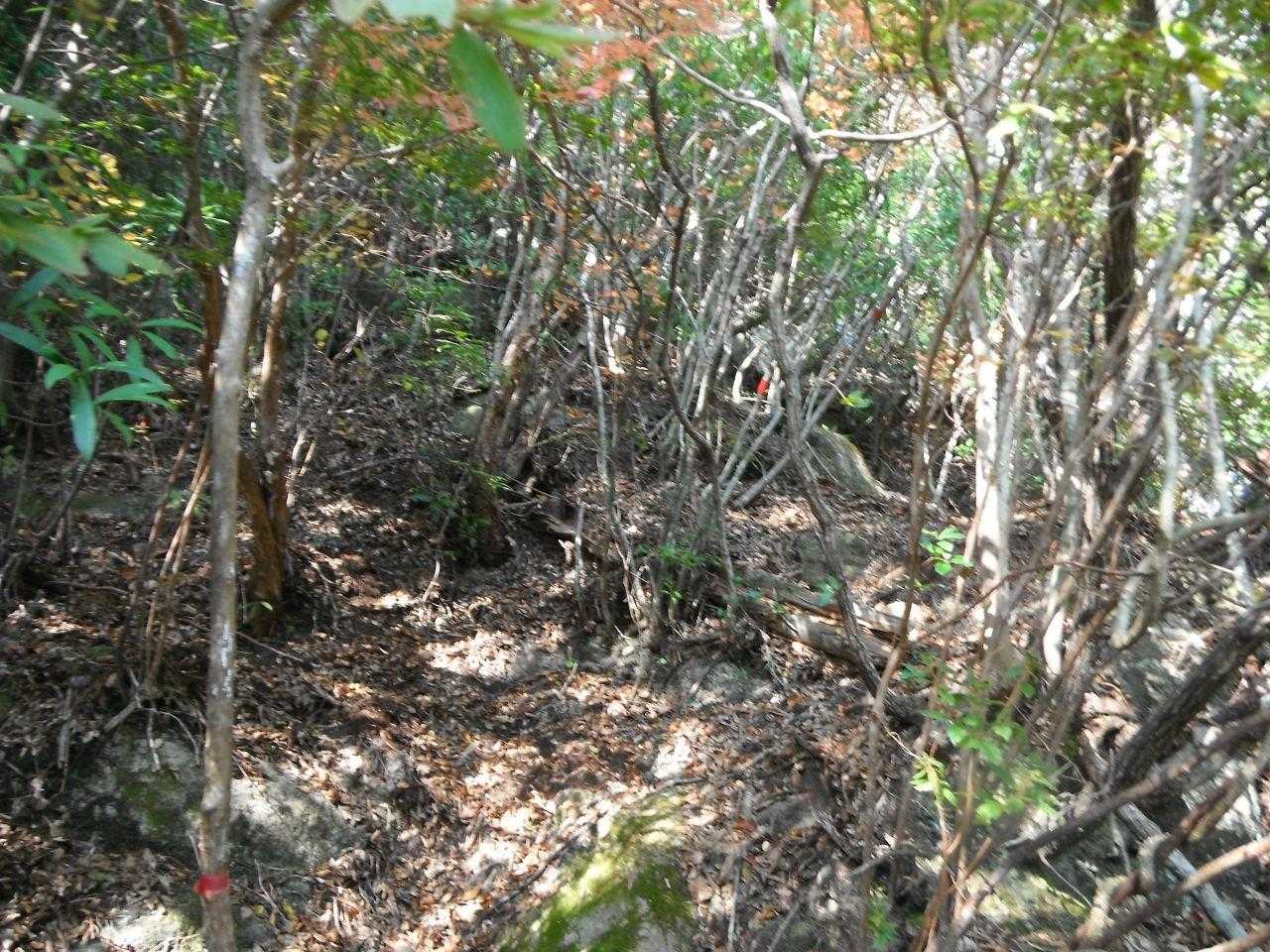 何度もロープが出てきます。
ロープのない場所でも大変な登りが続きます。
