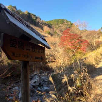 ようやく登山口に到着
ここまで一時間弱かな