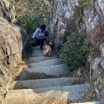 壁よじ登って宝満山山頂へ⛰️