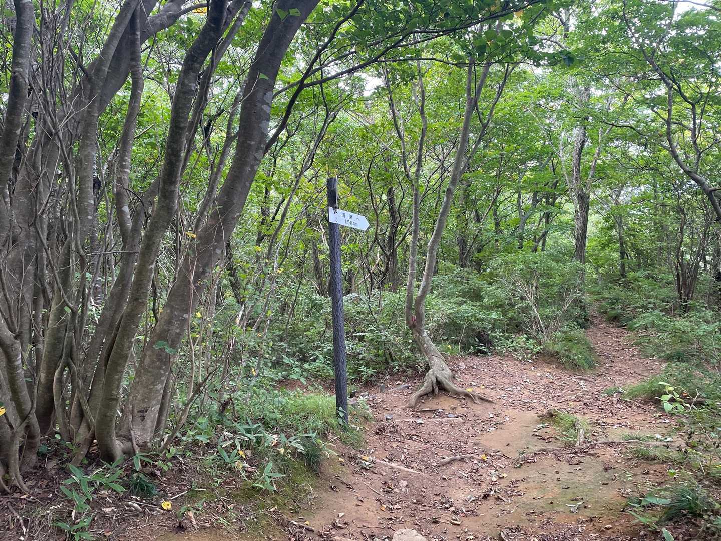 角田山（五ヶ峠登山口）<五ヶ峠コース>の写真