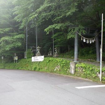 やっとPに戻りました