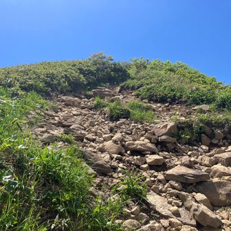 山頂手前はやや急登💙