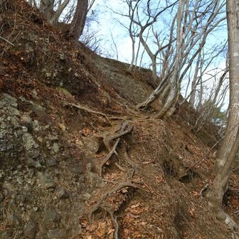 ここが下ってきた所です