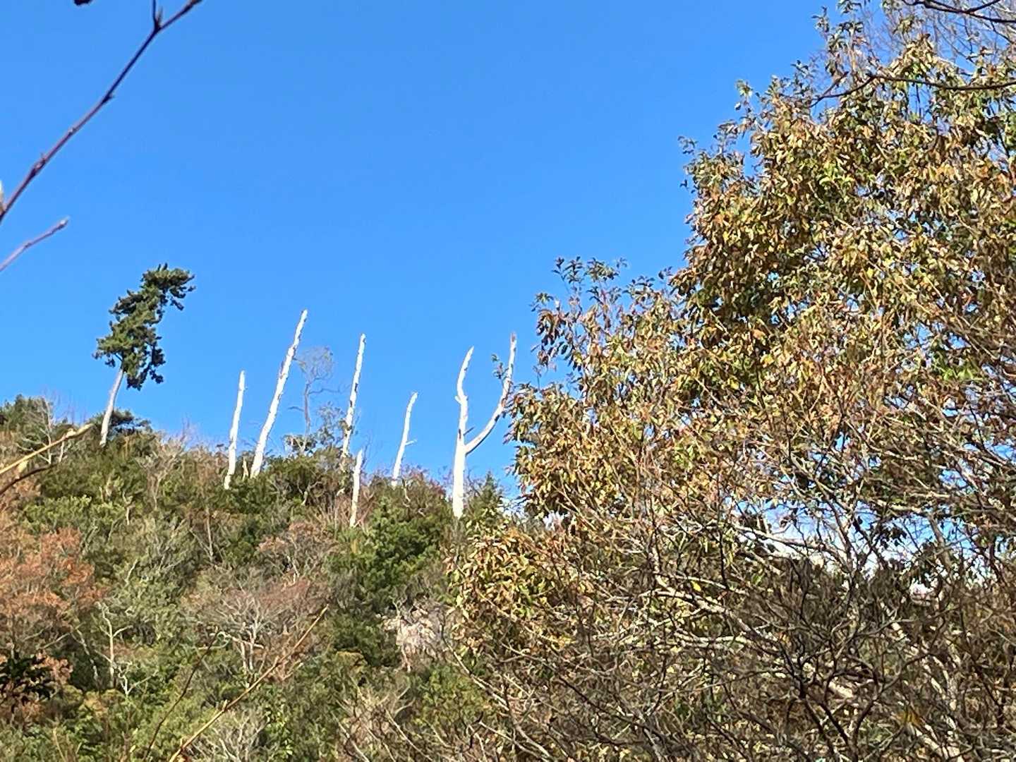 いい天気