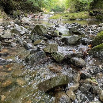 山上川
茶屋の裏手で、この流れは下って、あの美しい御手洗渓谷を形成している。