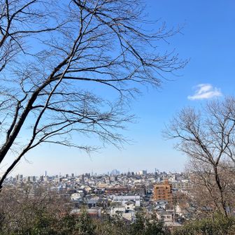 いい景色～🏘️🏘️
もうね
足がね🚶‍♀️
イカれてるね😂
今日は新年会があるからいっぱい飲むぞー🍻🍻🍻🍻