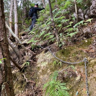 奥に行くと

ファイト一発崖！！