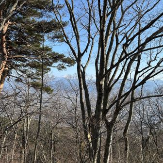 大峰山山頂からの展望は木で覆われていてあまり優れない。