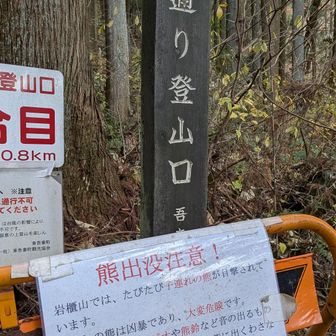 反対側の登山口に出てきました!
ココにも🐻目撃情報が…
