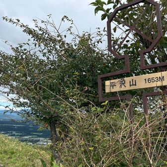 平沢山🙌