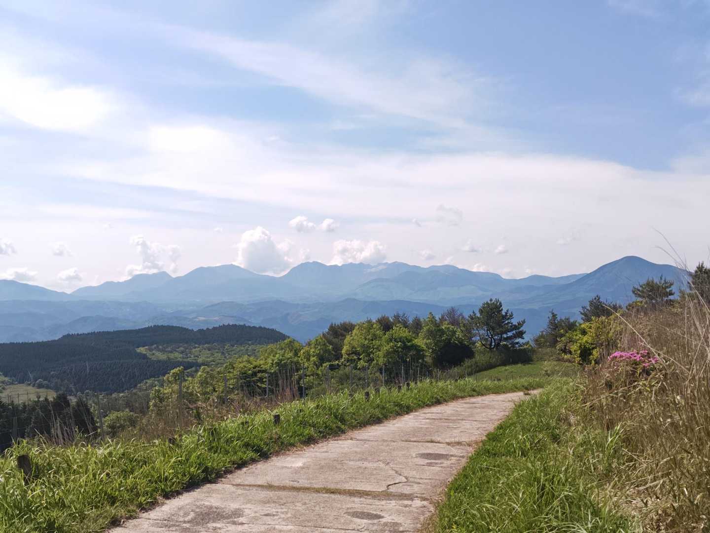 九重連山見ながら、牧場歩き。