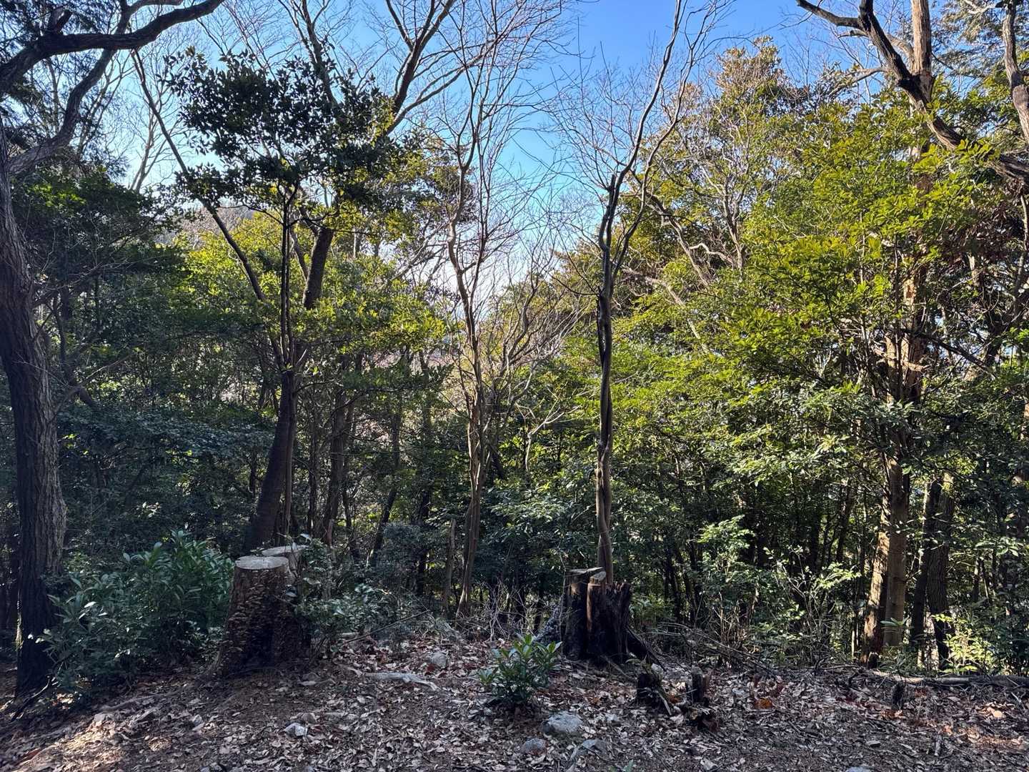 額堂山からも景色は…