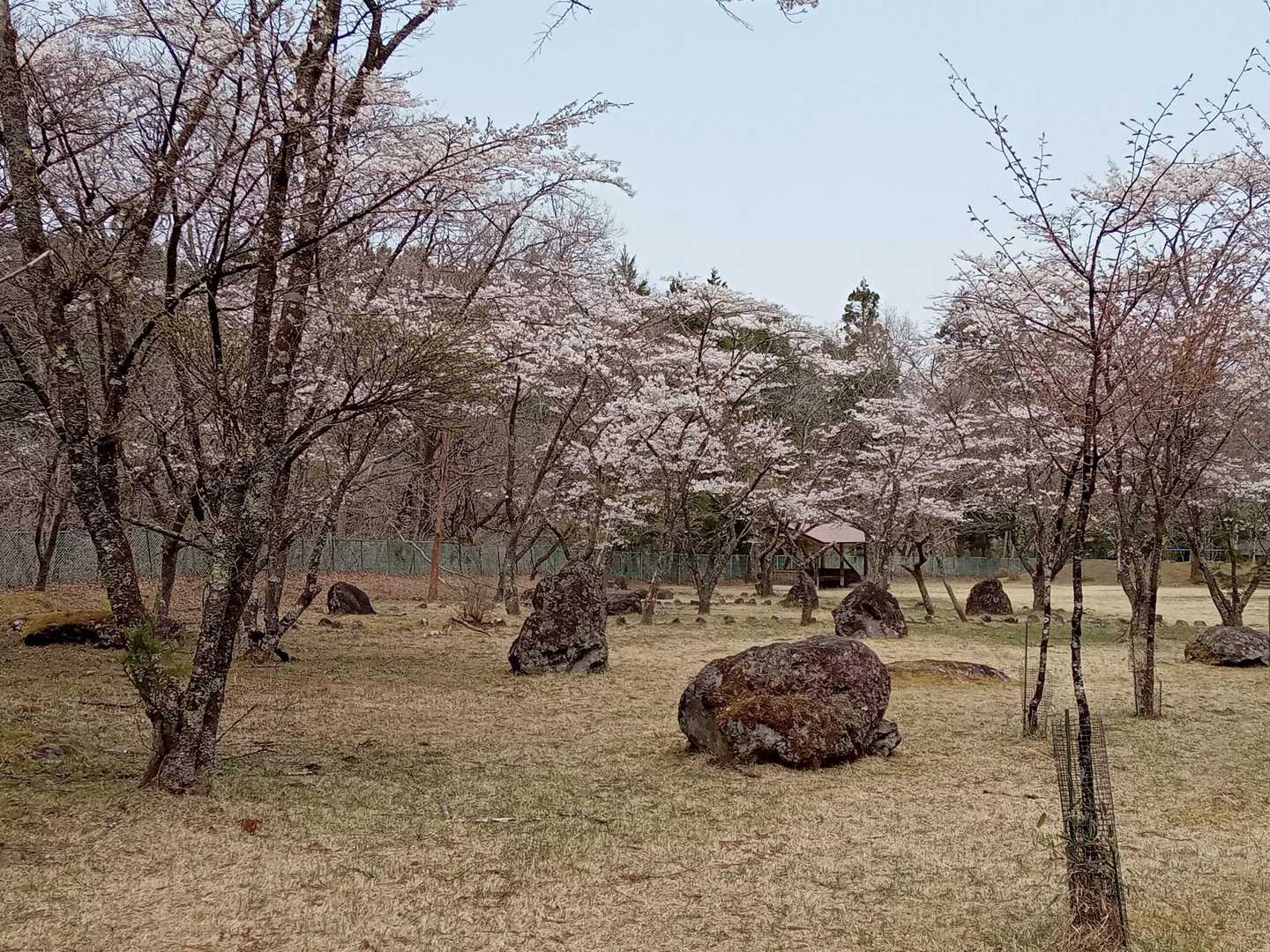 東武日光駅-神ノ主山-鳴虫山-合峰-独標 周回コースの写真