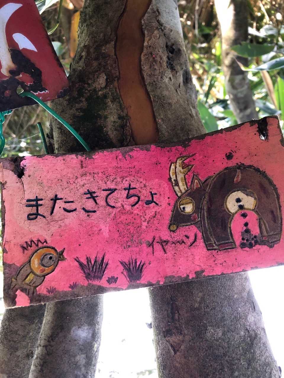 裏返すと…😁これに会いたかった❤️