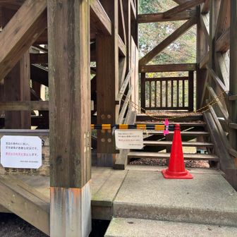 展望台…楽しみにしてたのに…😭