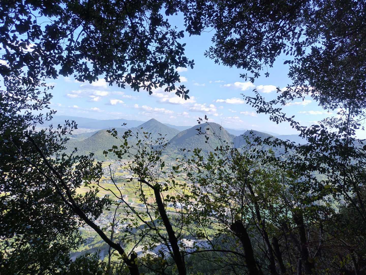 天霧山-弥谷山 往復コースの写真