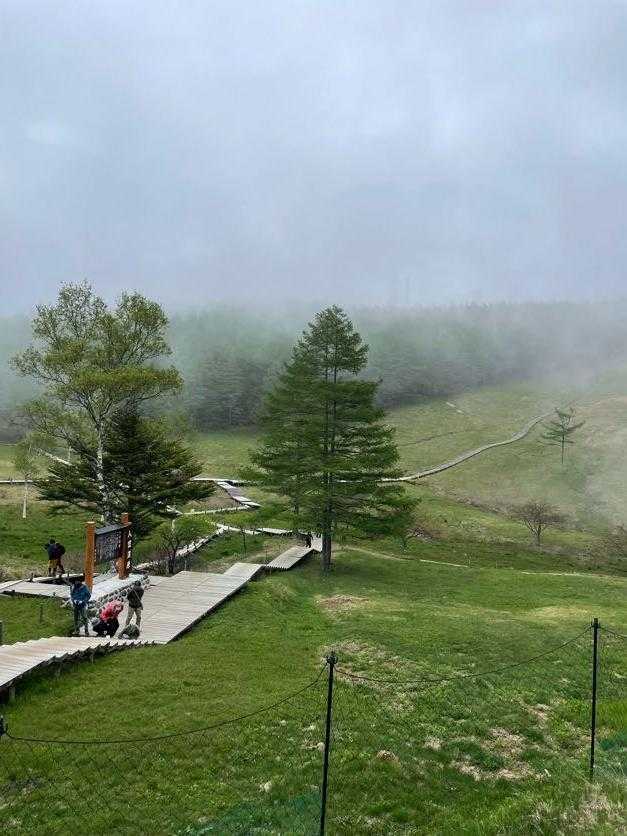 【フラット登山】入笠山・大展望の頂と深く静かな湿原をつなぐの写真