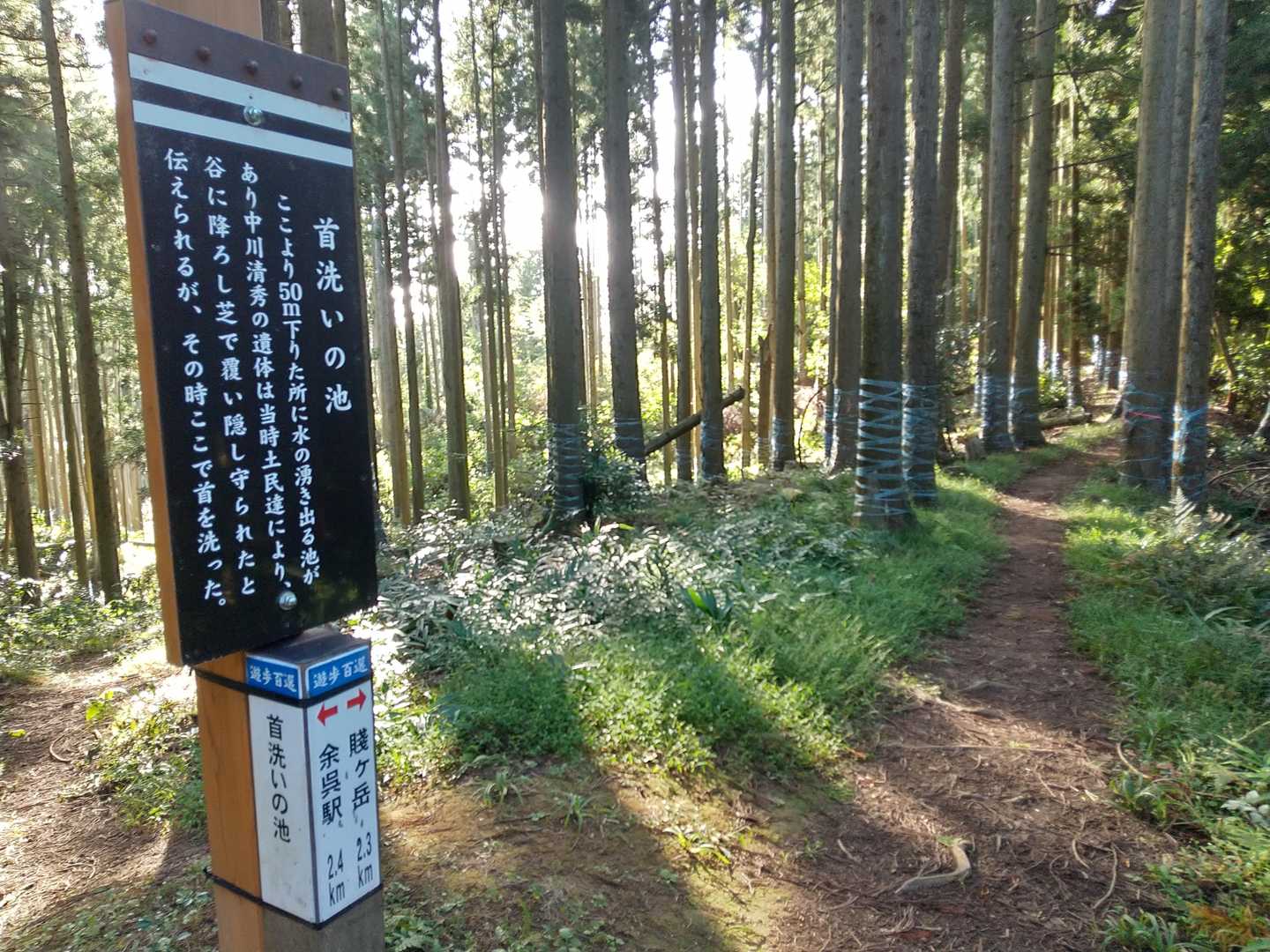 緩やかな坂の途中に首洗いの分岐に着いた。
