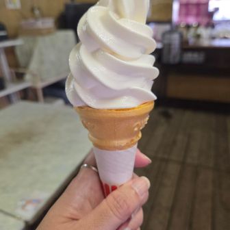 疲れた身体にご褒美🍦