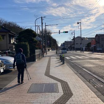 大通りは綺麗に整備されていました