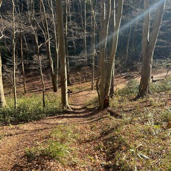 大円地越分岐を左に⬅️