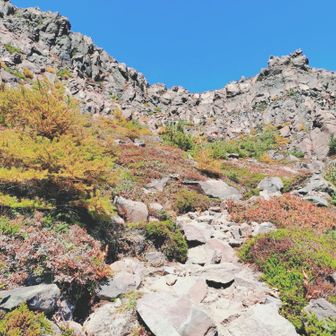 既に足パンパンなのに案の定足上げ地獄の急登でした🤣