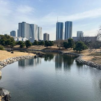 春に来た時は一面の菜の花畑があったような..