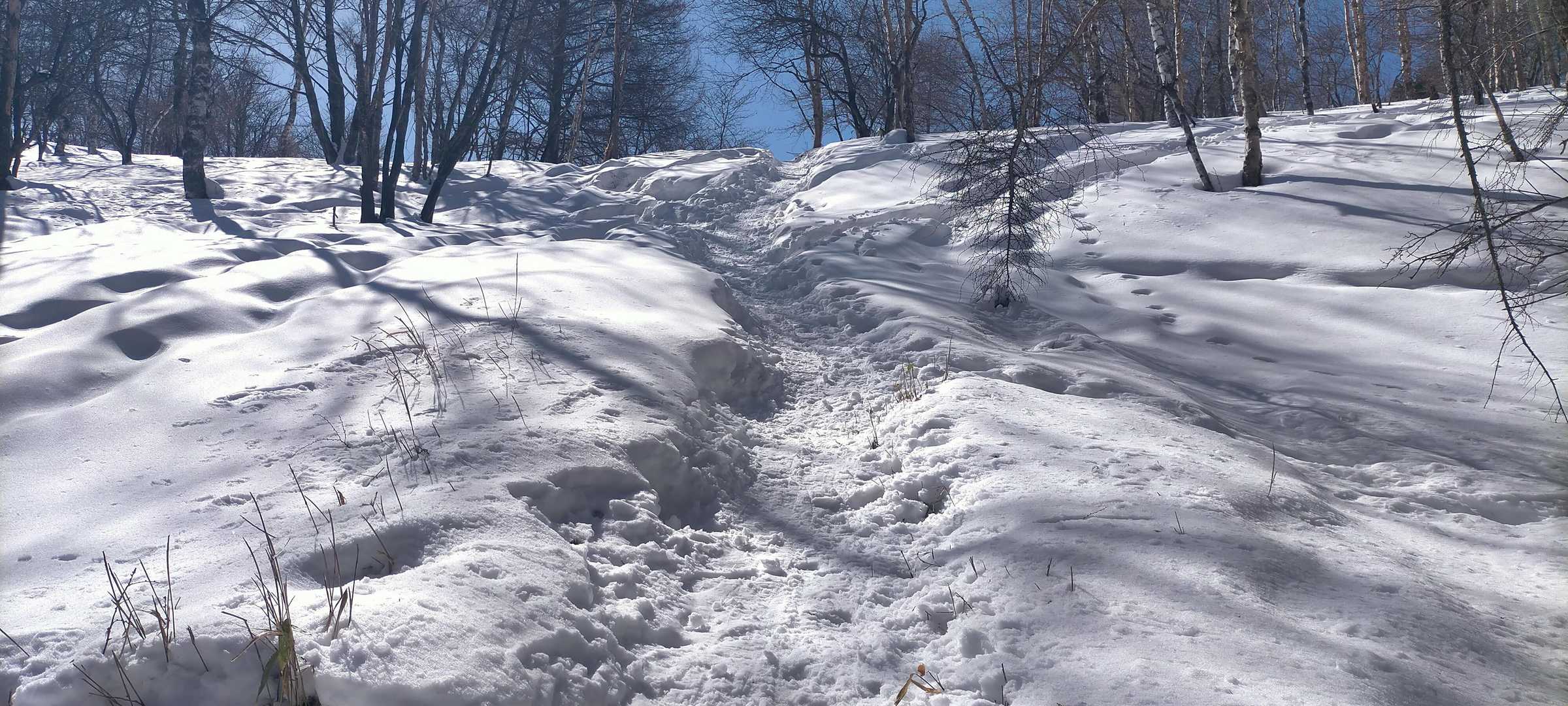 積雪量も多くトレースの無いところは膝上まで埋まる。
人の通りの少ないトレースを選んだので進むのが困難だった( ;∀;)
やっと広めのﾄﾚｰｽに出た。