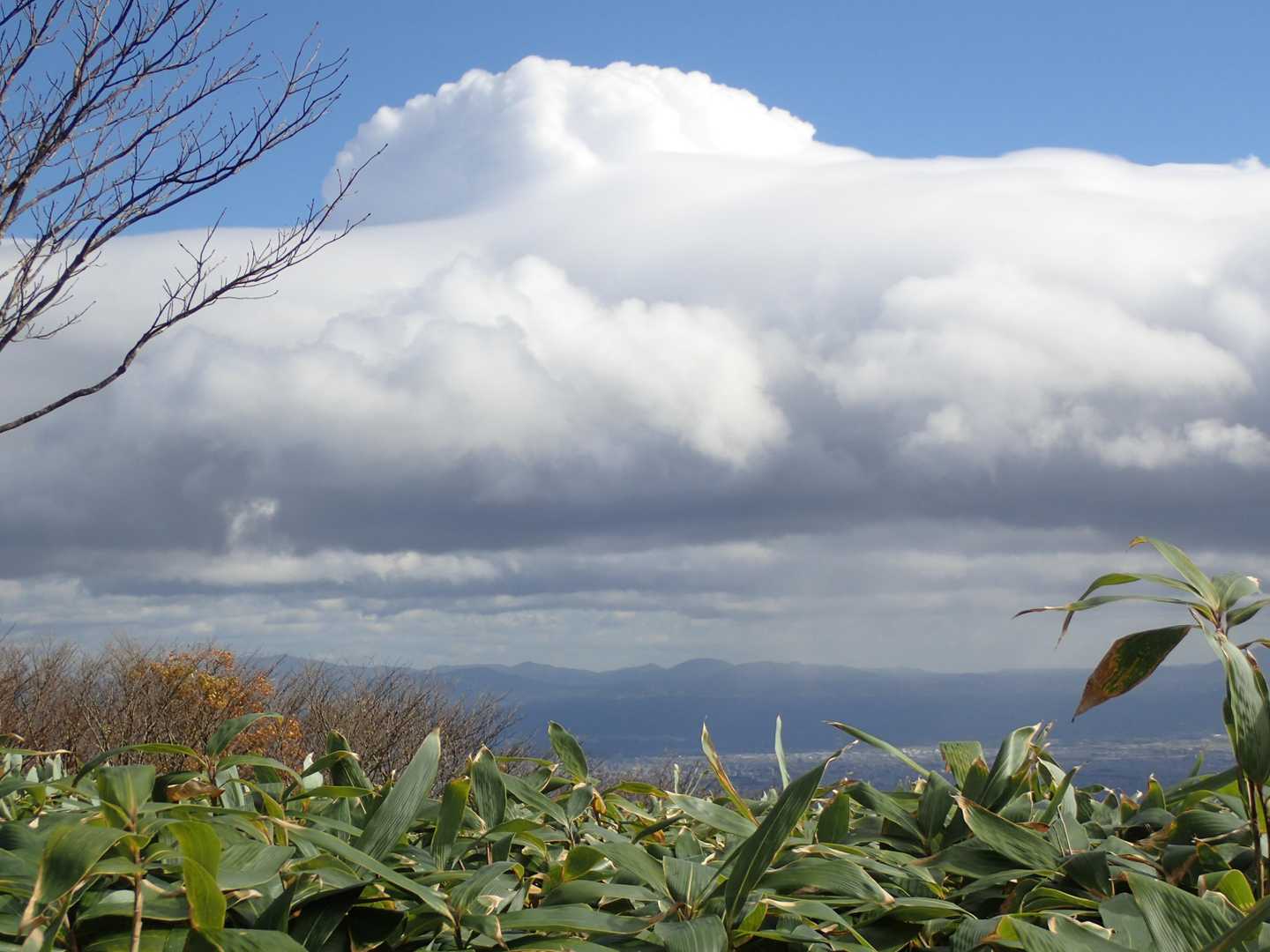 滝登山口-額取山-大将旗山 往復コースの写真