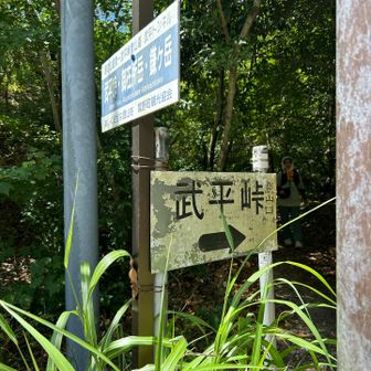 無事下山🙌
いやぁー、晴れてよかったね✨