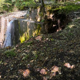 林道途中で沢側の道が、下山方向右手に崩れているところがあった
よそ見しながら歩くと沢まで滑落する危険性あり⚠️