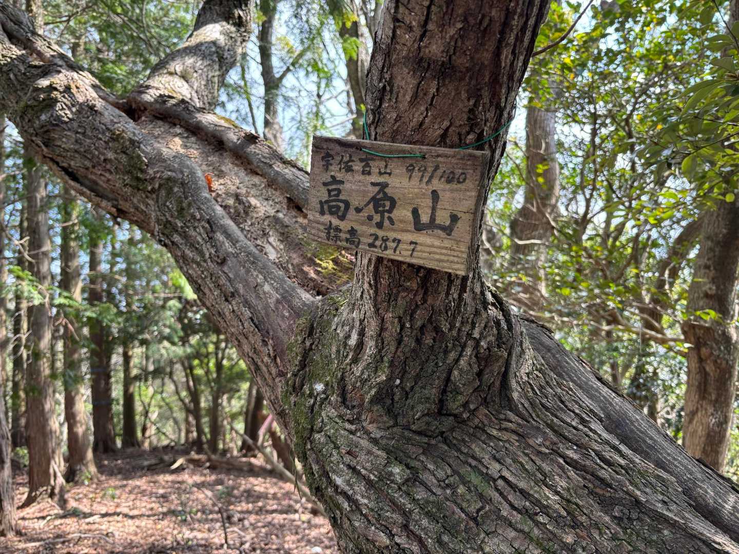 和尚山-鷹取山 周回コースの写真