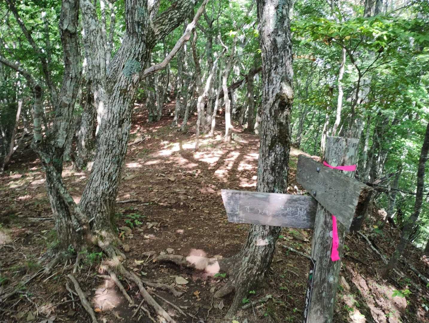 釈迦ヶ岳を目指して先に進みます。