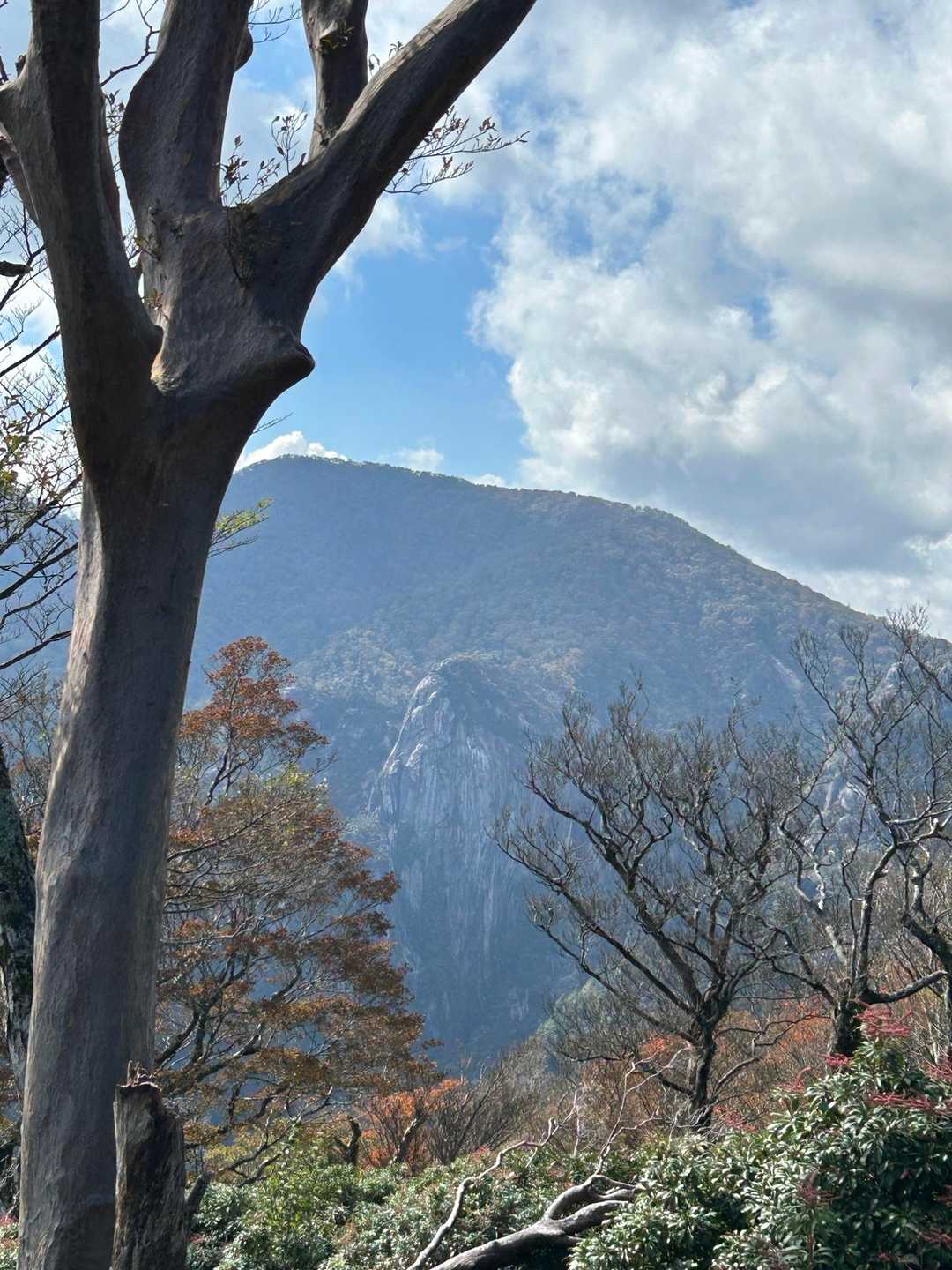 大崩山の岩峰が見える