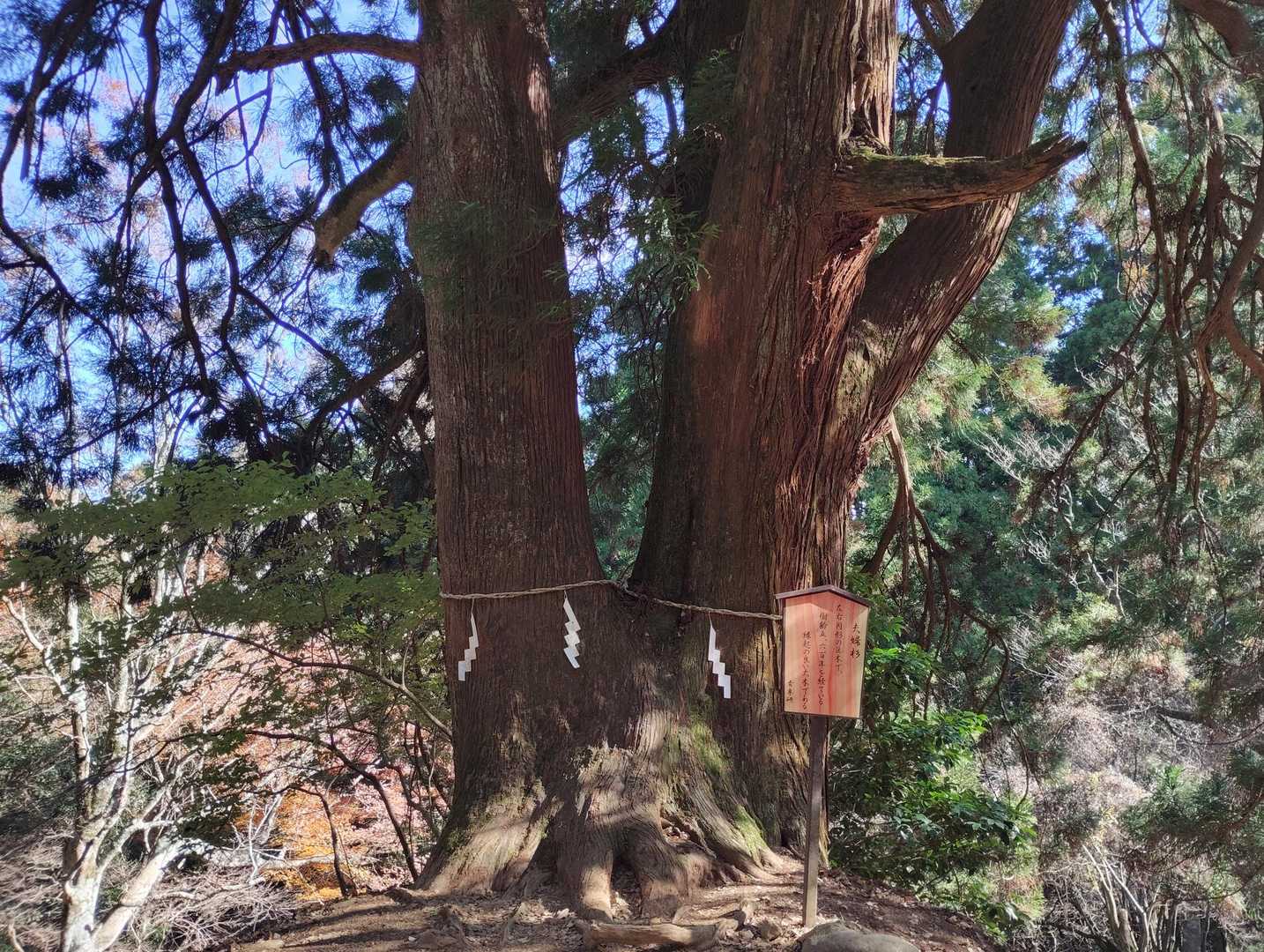 大山ケーブルカー 阿夫利神社駅-頂上登山口-大山 往復コースの写真