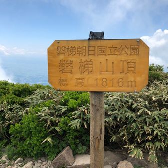 はち