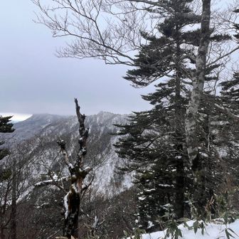 だんだん雲行きが怪しいぞ