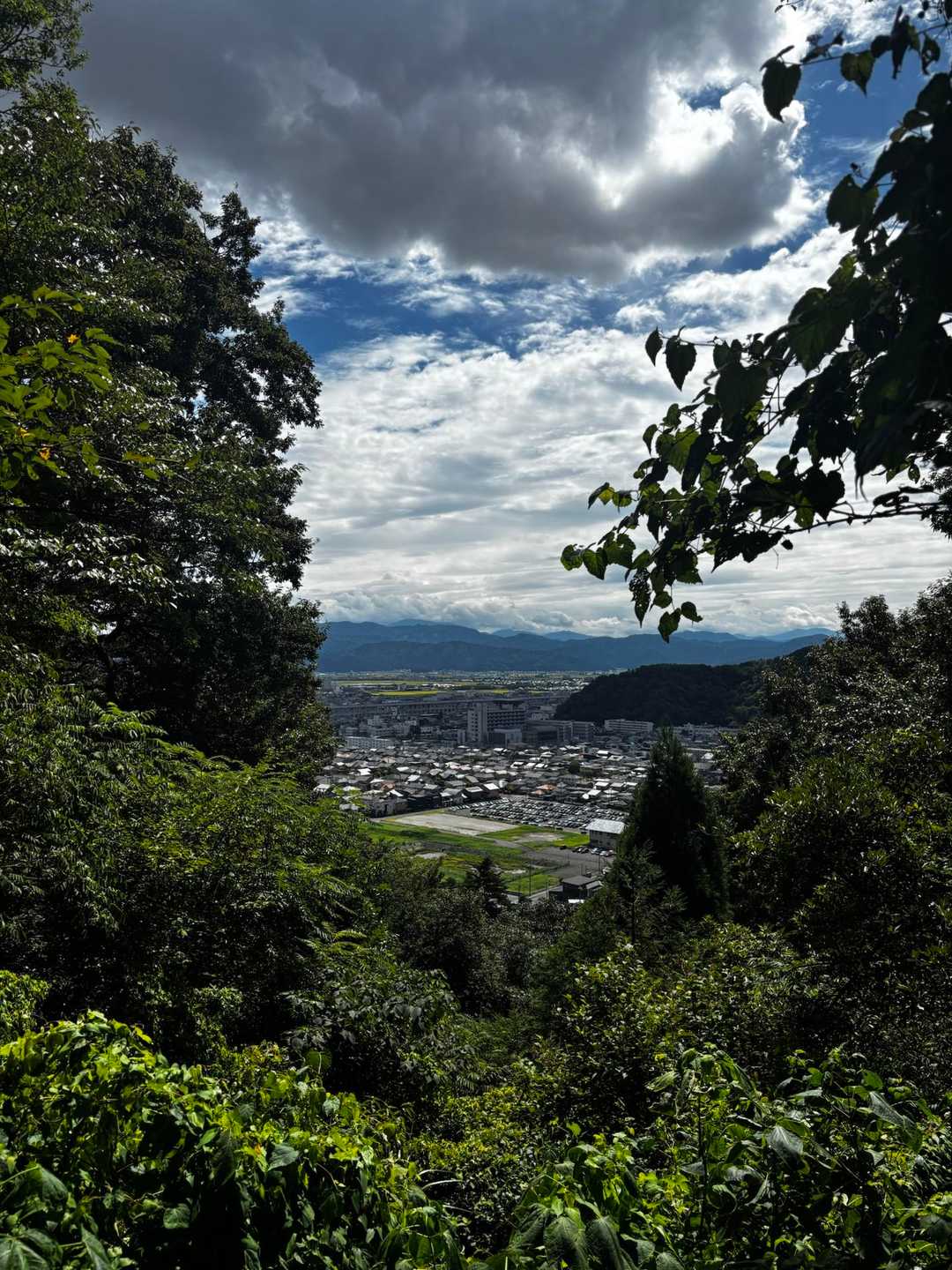 里山感