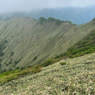 さあ、急いで東黒森⛰️に💨