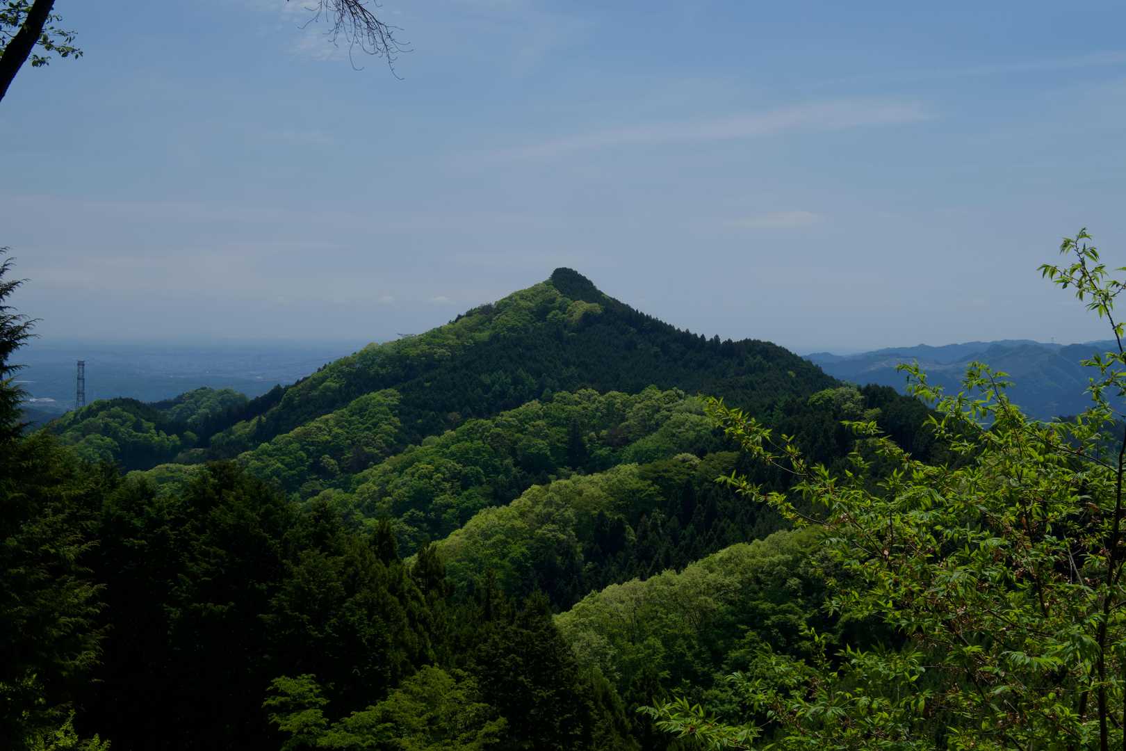 日向和田駅-三室山-梅野木峠-日の出山-つるつる温泉バス停 縦走コースの写真