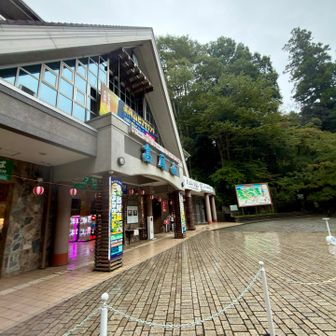 無事、雨の中、TJT完歩🙌おつかれさまでした♪