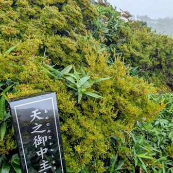 ⑩ 全部参拝できたかな🤔