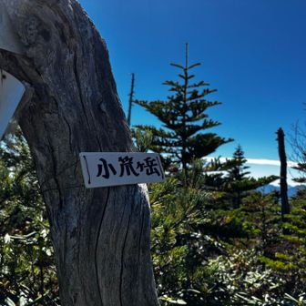 子笊！周回でついでに取る山と認識した。
ピストンではメンタル的に無理だった😆