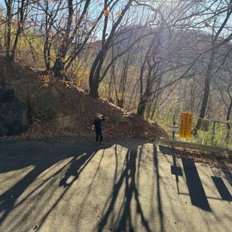 白葉峠に着地。ちなみに『しろっぱとうげ』らしい。あと4つほどチェイン繋げるつもりでしたがまだ15時前なのに陽が傾いてきて戦意喪失。