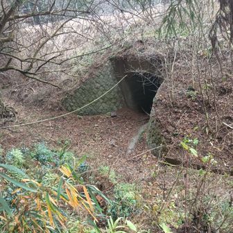 いや、西吾野駅ホームトンネルだった
どうやら駅の改札がない側を降りてきたらしい😳
このトンネルを潜れってか🤣
写真では分かりにくいが通れるとはとても思えない不気味な代物だった😂