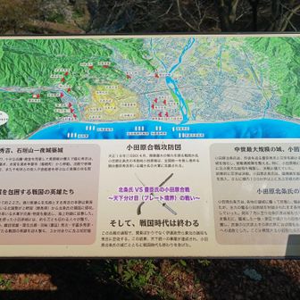 小田原合戦攻防図
この包囲網凄いですね!😮
それだけ小田原城は難攻不落な要塞🏯だったと言う事ですね。籠城していた北条軍も頑張ったなぁー🥹