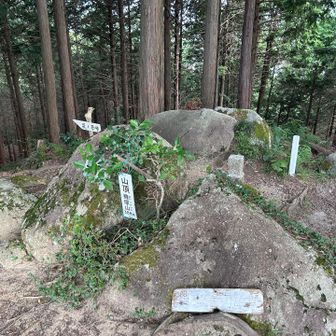 糠塚山山頂